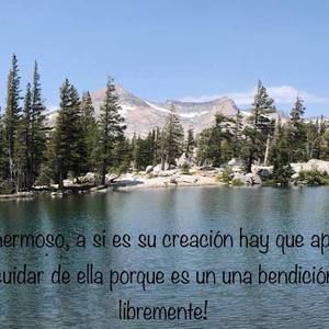 Meet your Posher, Teresa